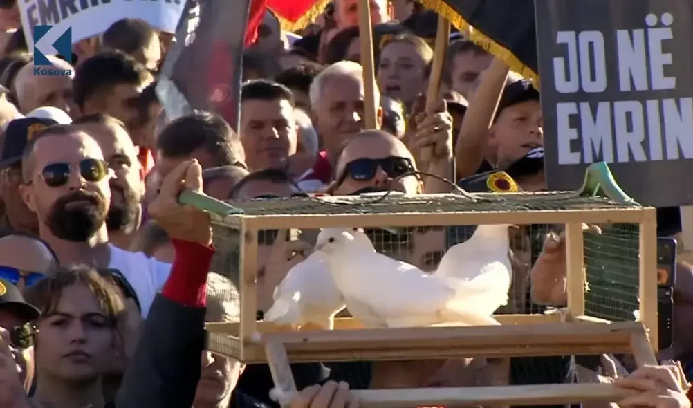 Moment simbolik në protestën në Prishtinë, protestuesit lëshojnë pëllumba të bardhë